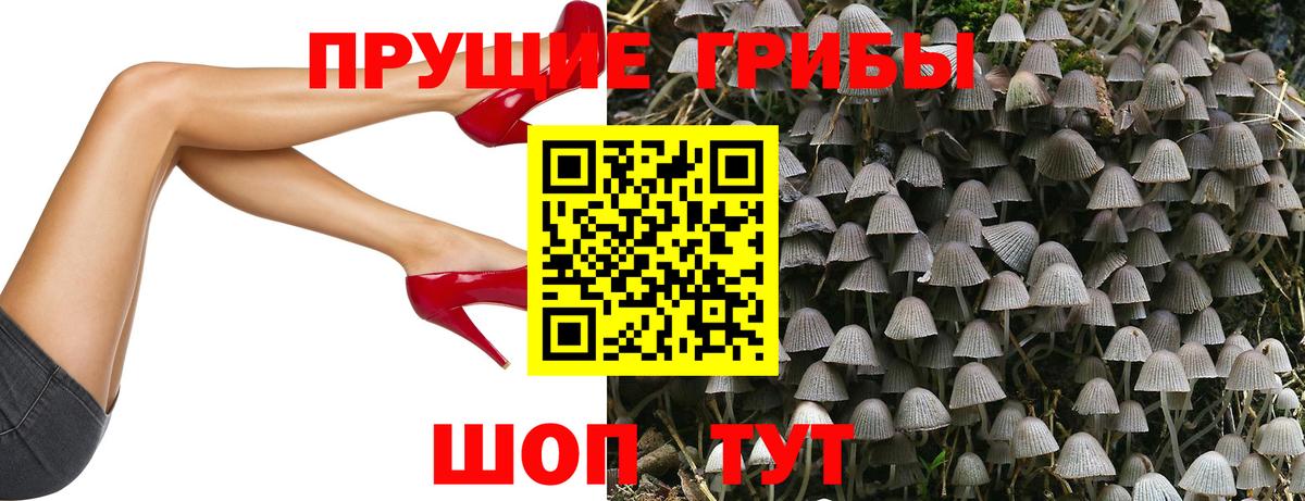 Псилоцибиновые грибы ЛСД  Псилоцибиновые грибы GOLDEN TEACHER  Хасавюрт  Вход с VPN 
